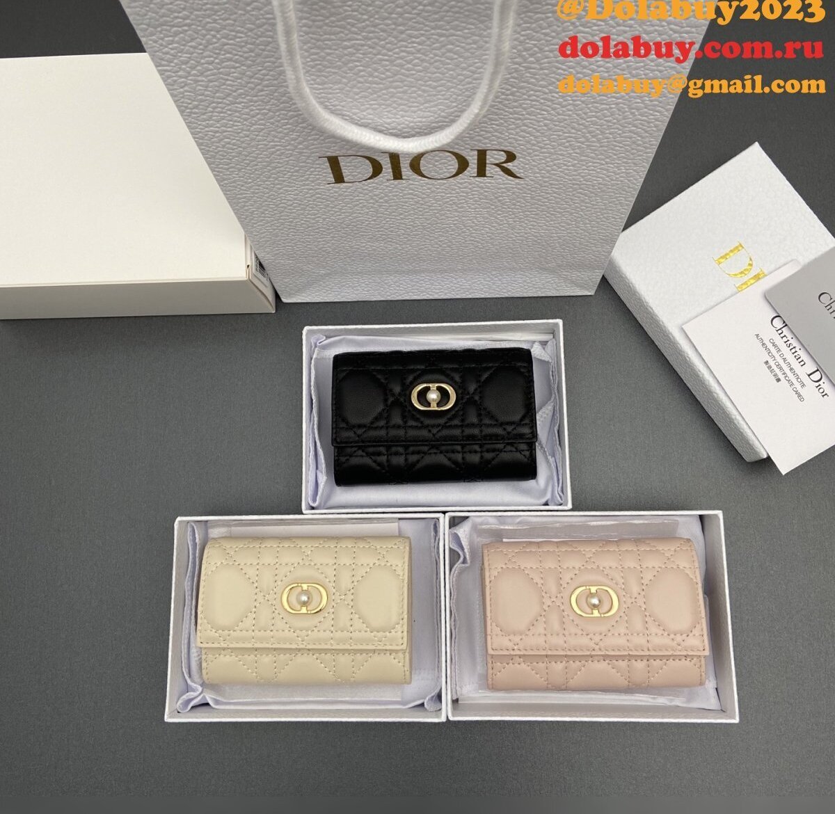 Dior Jolie Glycine Wallet S3102