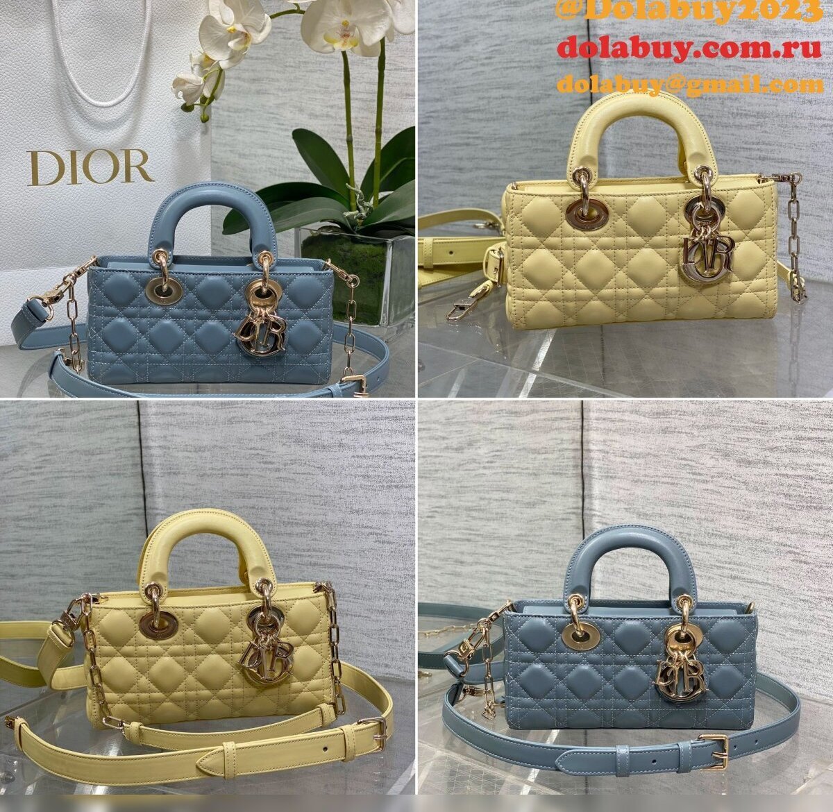Christian Dior Women's Designer D-Joy 22.5CM Bag