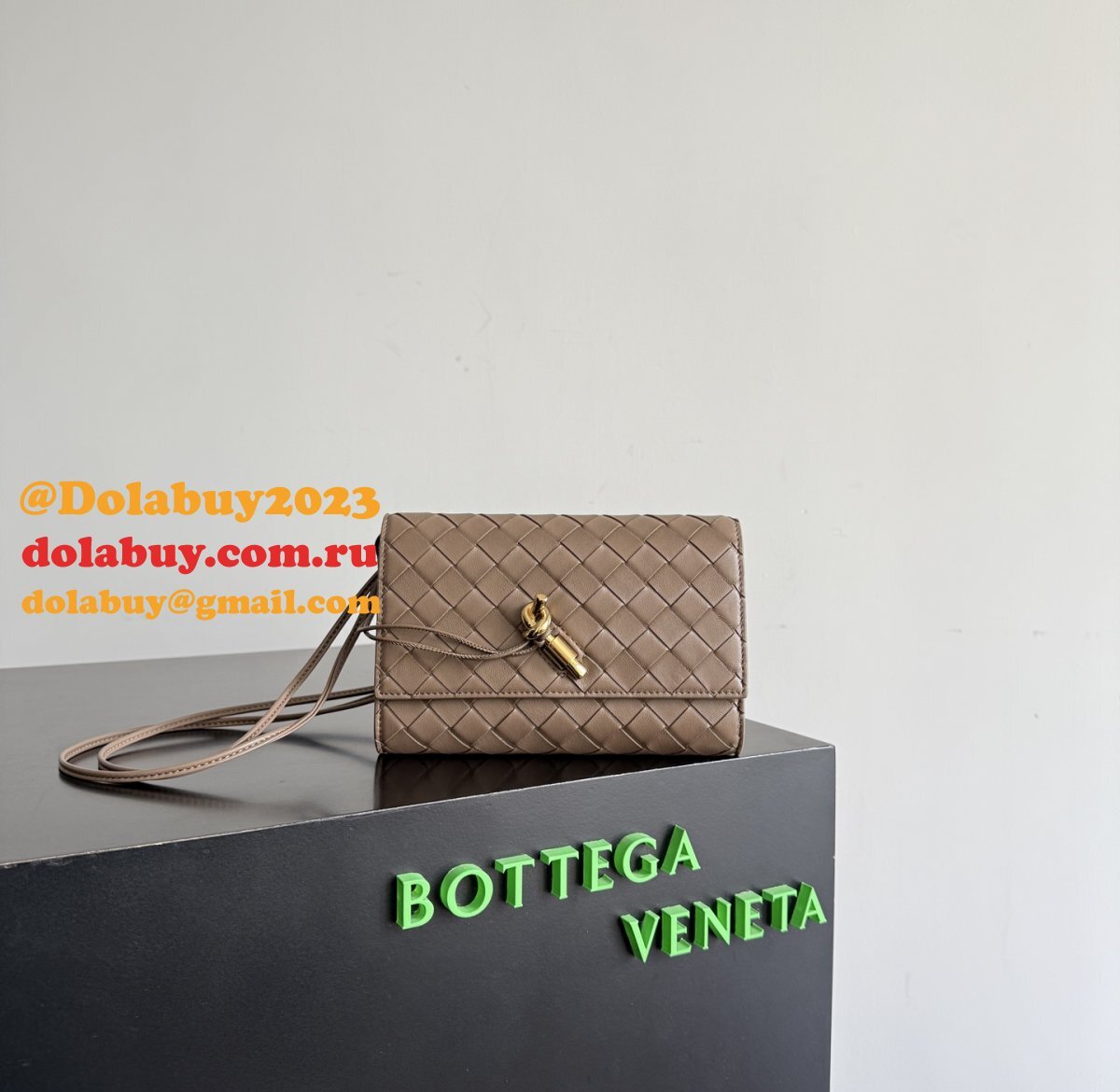 Best Bottega Veneta Andiamo Pouch